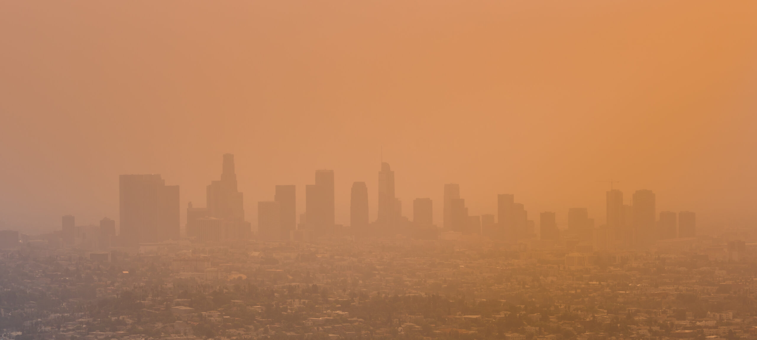 Los Angeles Skyline With Smog and Smoke