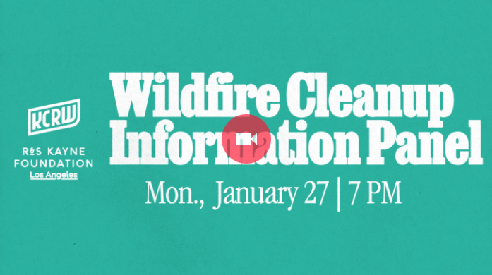 LA Wildfire Cleanup Information Panel