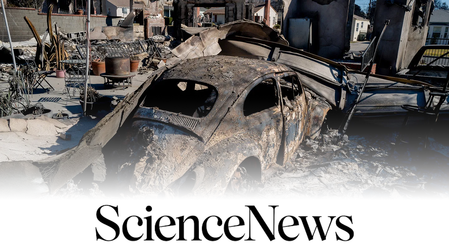 Science News: Toxic dangers lurk in LA, even in homes that didn’t burn